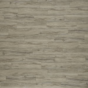 Oasis Plank